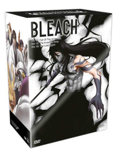 Bleach Box 4 (Arc 14-16) (16 Dvd)