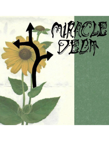 Miracle Debt - Under The Shadow