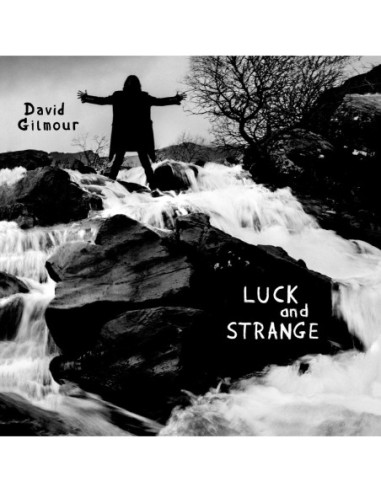 Gilmour David - Luck And Strange - (CD)