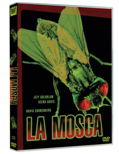 Mosca (La)