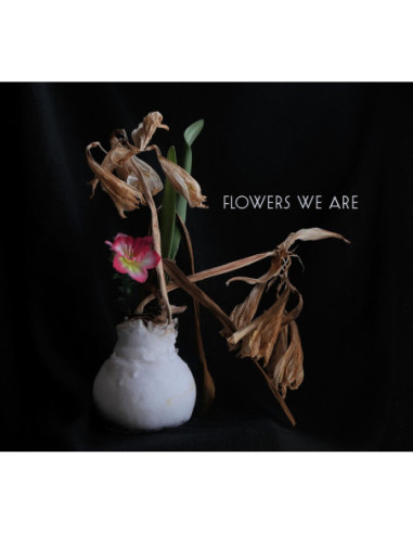 Flowers We Are - Flowers We Are - (CD)