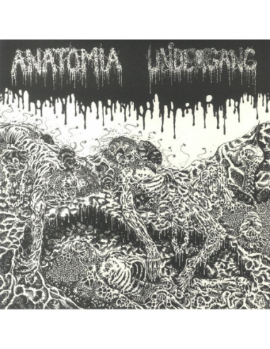 Anatomia/Undergang - Split