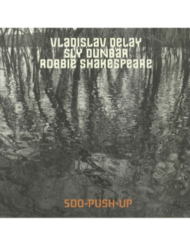 Vladislav Delay/Sly Dunbar/Robbie Shakespeare - 500 Push Up