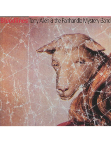 Allen Terry/The Panhandle Mystery Band - Bloodlines (remastered)