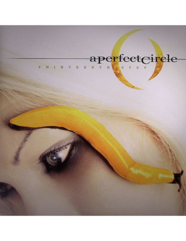 A Perfect Circle - Thirteenth Step