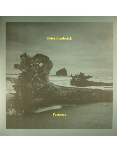 Broderick Peter - Partners