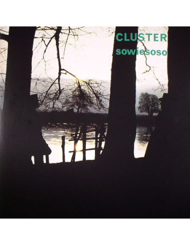 Cluster - Sowiesoso