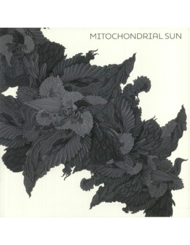 Mitochondrial Sun - Mitochondrial Sun