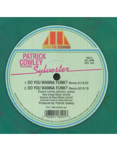 Cowley Patrick/Sylvester - Do You Wanna Funk?