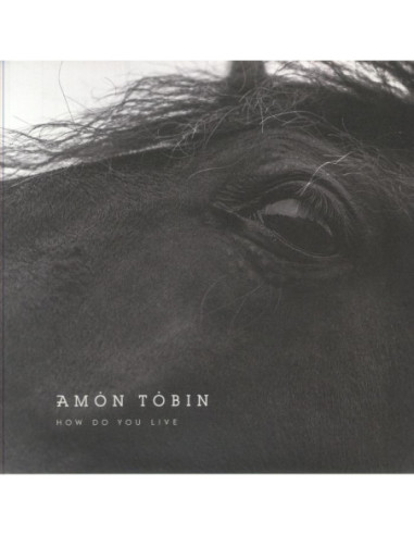 Tobin Amon - How Do You Live