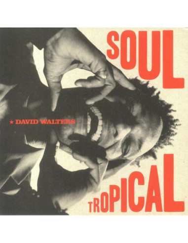 Walters David - Soul Tropical