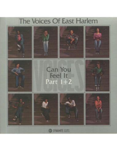 Voices Of East Harlem The - Can You Feel It Part 1 And 2