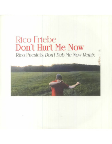 Friebe Rico - Don'T Hurt Me Now (Rico Puestel'S Don'T Dub Me Now Remix)