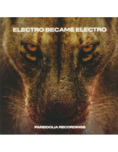 Various - Electro Became Electro