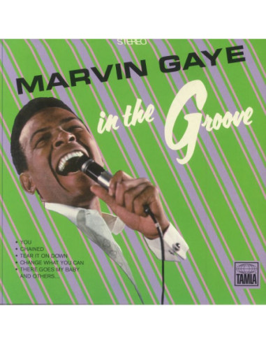 Gaye Marvin - In The Groove