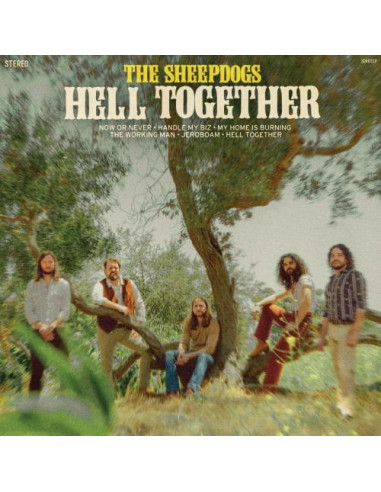 Sheepdogs, The - Hell Together - (CD)