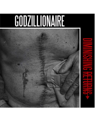 Godzillionaire - Diminishing Returns - (CD)