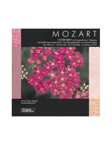 Otmar Suitner Staatskapell - Mozart:Overtures  Limited  (Reissued:Kicc-3591) - (CD)