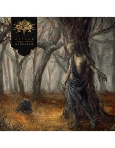 Fires In The Distanc - Echoes From Deep November - (CD)