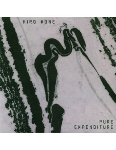 Kone, Hiro - Pure Expenditure