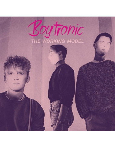 Boytronic - The Working Model