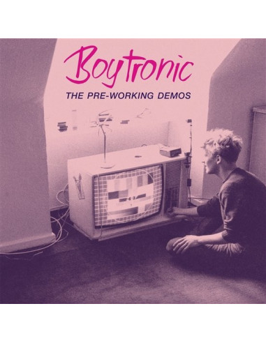 Boytronic - The Pre-Working Demos