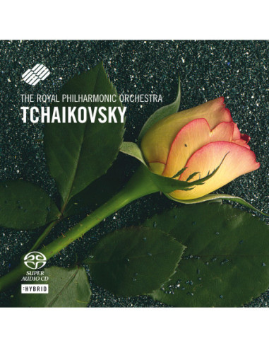 O'Hora/Rpo/Judd - Tschaikowsky:Piano Concerto (Sacd) - (CD)