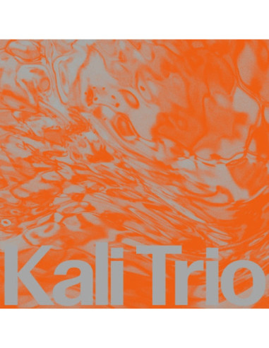 Kali Trio - Playful Abstract