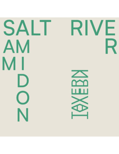 Amidon, Sam - Salt River - (CD)