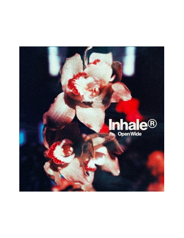 Inhaler - Open Wide (Paper Sleeve/Poster For 1St Pressing) - (CD)