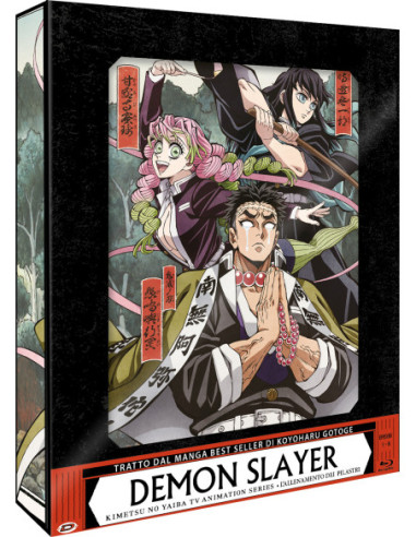 Demon Slayer - Limited Edition Box n.06 - L'Allenamento Dei Pilastri (Eps 01-08) (2 Blu-Ray)