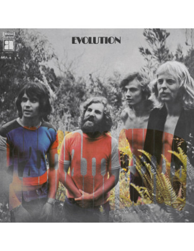 Tamam Shud - Evolution