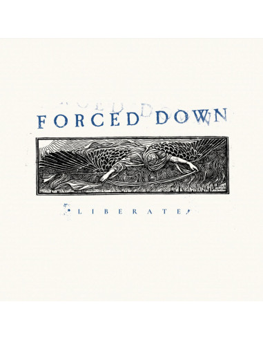 Forced Down - Lierate