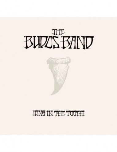 Budos Band - Long In The Tooth