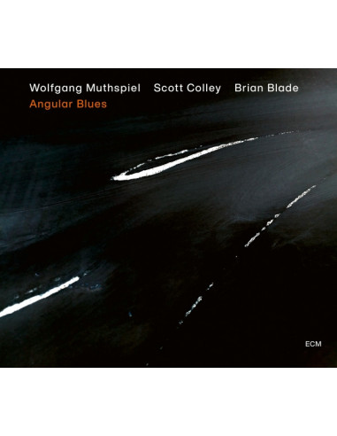 Muthspiel Wolfgang - Angular Blues