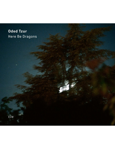 Tzur Oded - Here Be Dragons