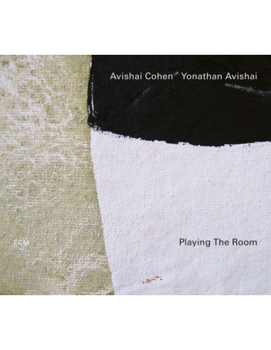 Cohen Avishai, Yonathan Avishai - Playing The Room