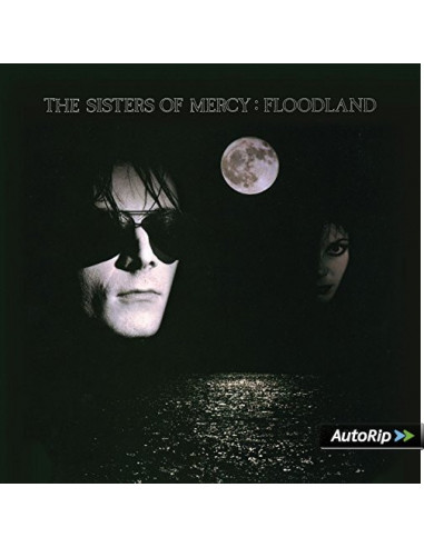 Sisters Of Mercy The - Floodland