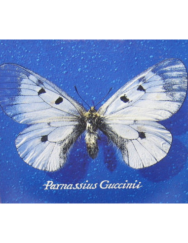 Guccini Francesco - Parnassius Guccinii