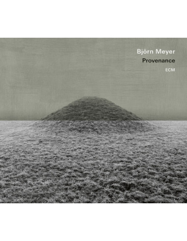 Meyer Bjorn - Provenance