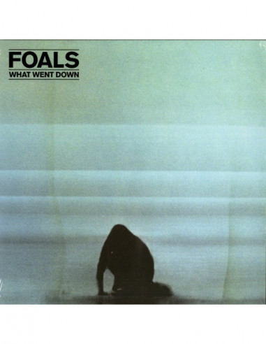 Foals - What Went Down