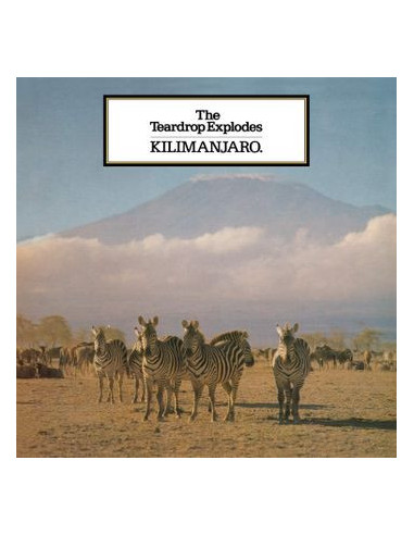 Teardrop Explodes - Kilimanjaro