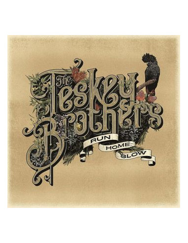 Teskey Brothers - Run Home Slow