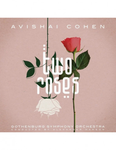 Avishai Cohen-Gothen - Two Roses