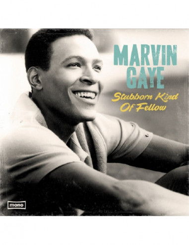 Gaye Marvin - Stubborn Kind Of Fellow