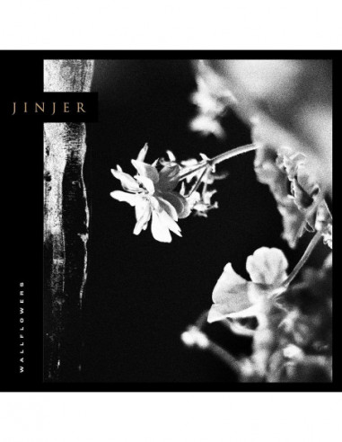 Jinjer - Wallflowers